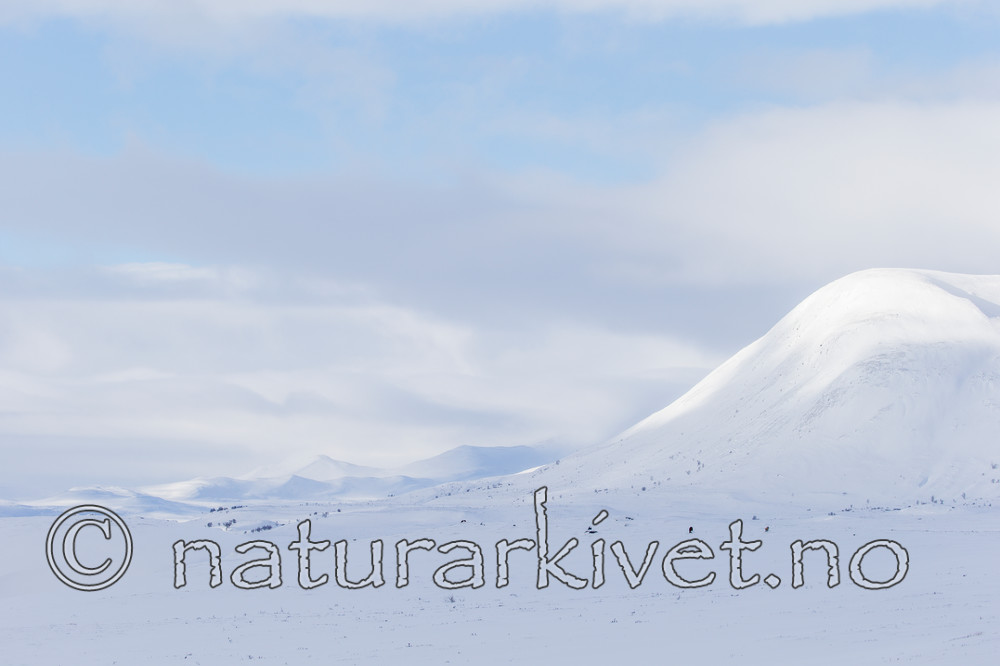 KA_160305_5