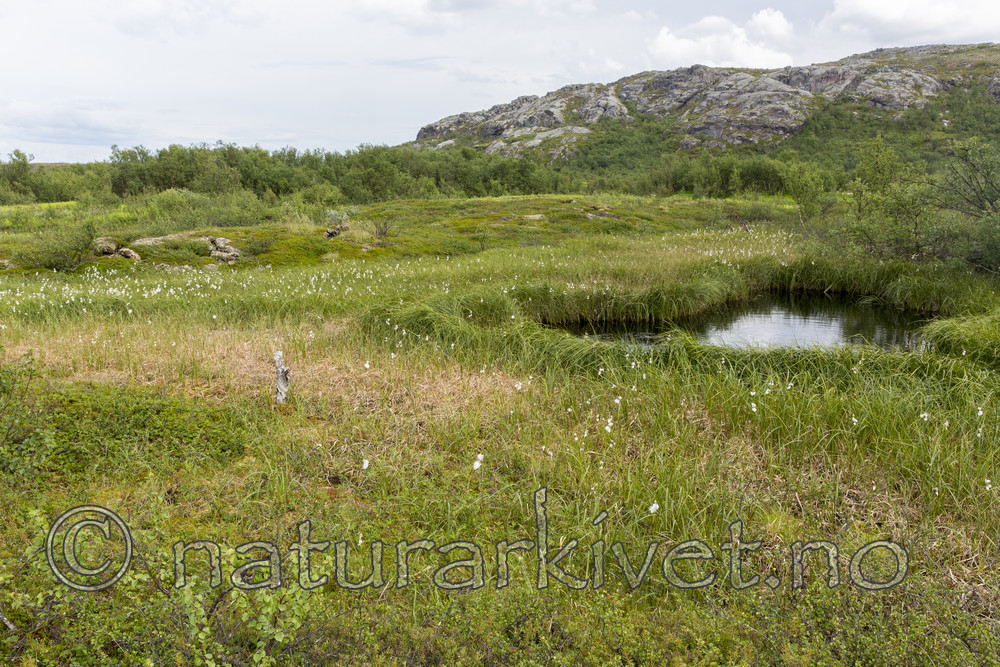 KA_160701_11