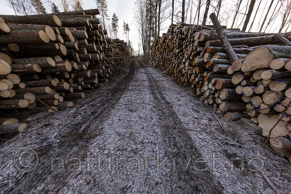 KA_161223_37