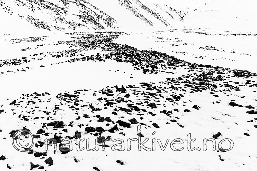 KA_180302_9