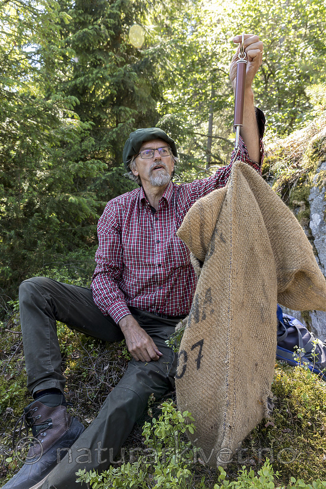 KA_180608_64 / Haliaeetus albicilla / Havørn