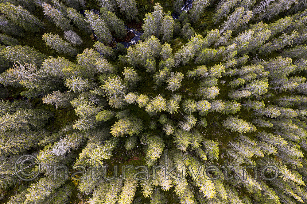 KA_191013_4