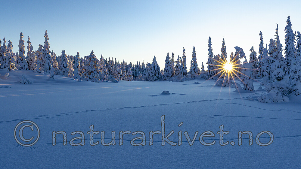 KA_210105_13