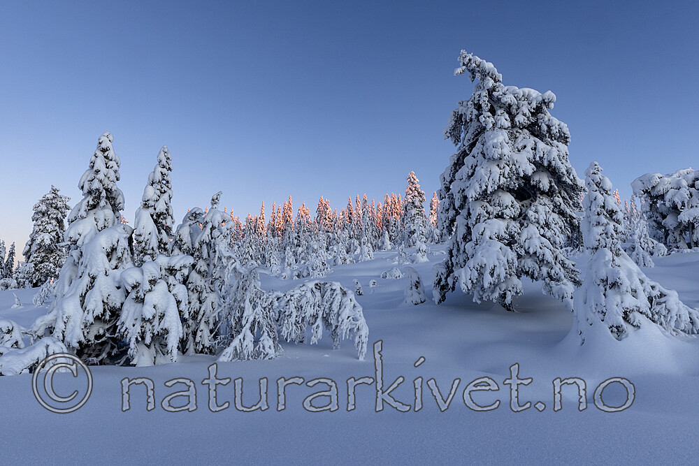 KA_210105_30