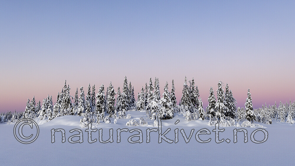 KA_210105_38