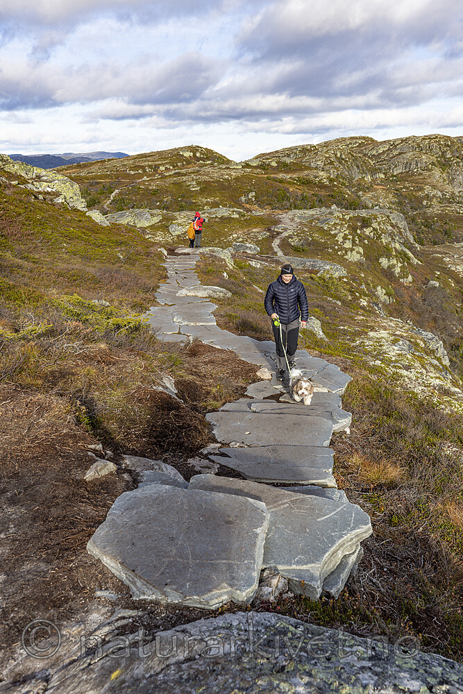 KA_211016_22 / Canis lupus familiaris / Hund