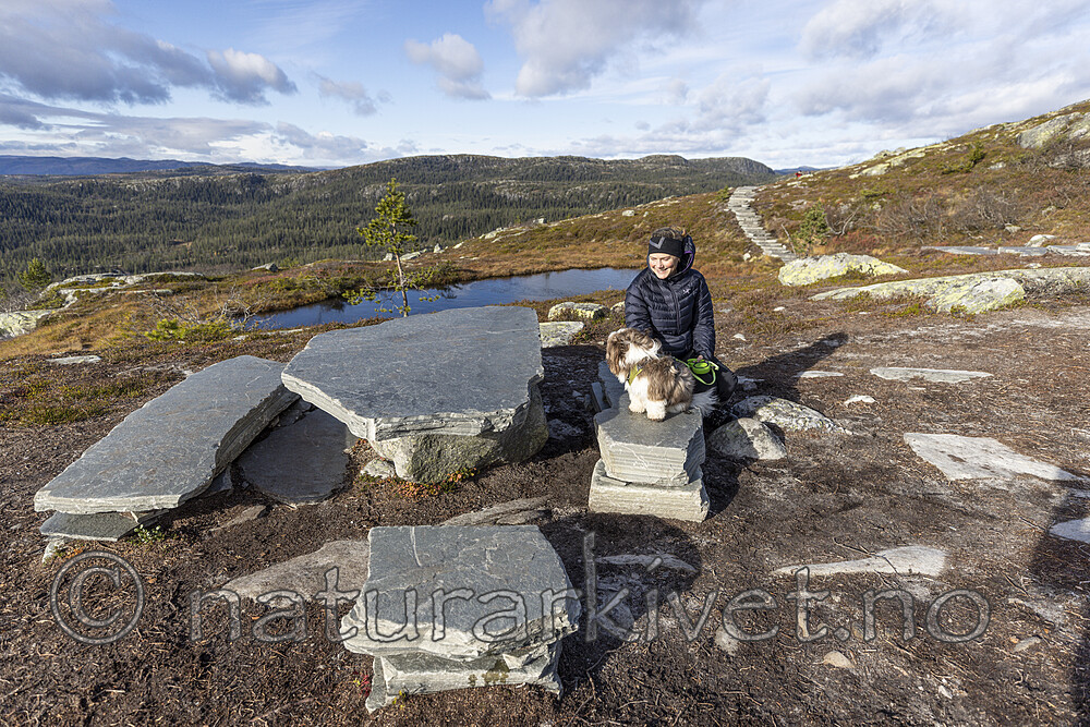 KA_211016_42 / Canis lupus familiaris / Hund <br /> Diplopteraster multipes
