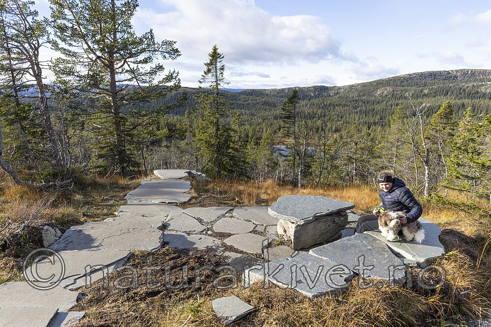 KA_211016_56 / Canis lupus familiaris / Hund <br /> Diplopteraster multipes