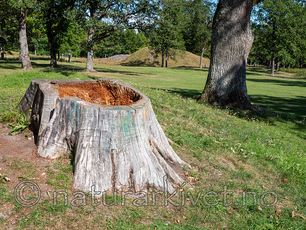 P8194090