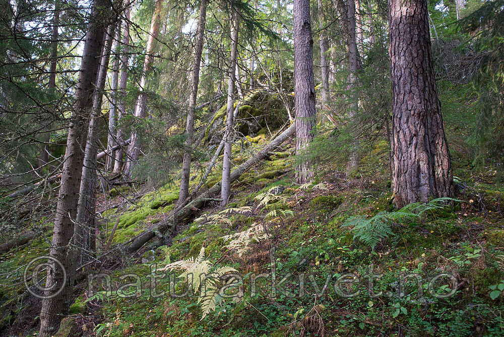 SIG_0047
