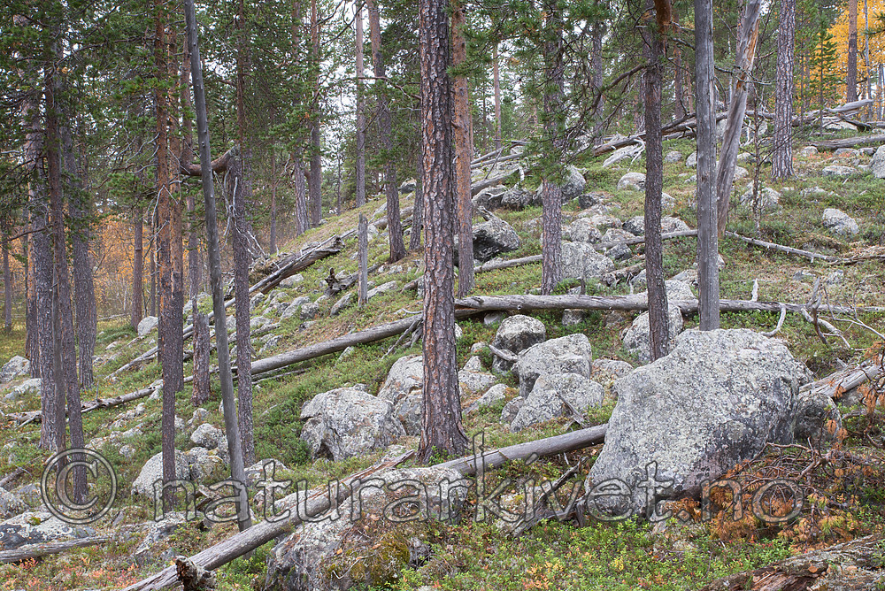 SIG_0395