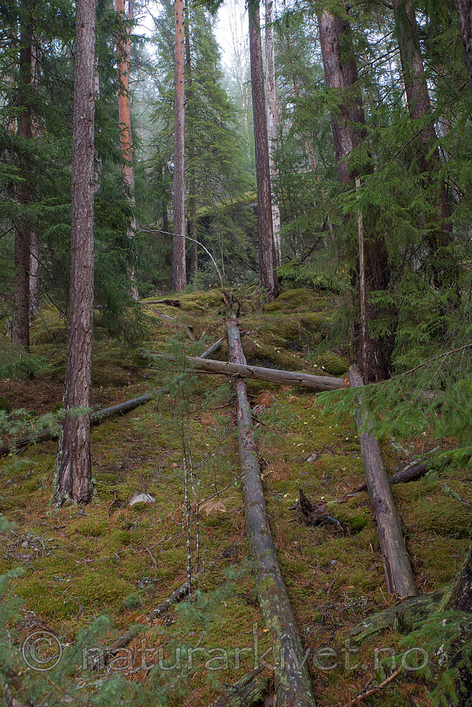 SIG_0751