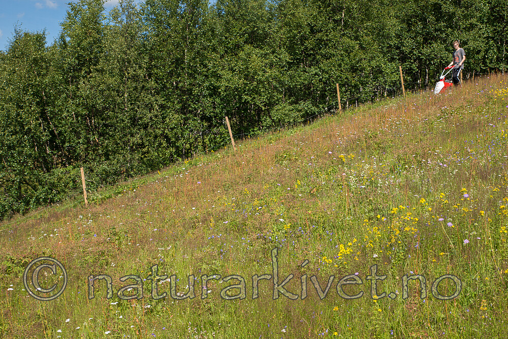 SIG_1643