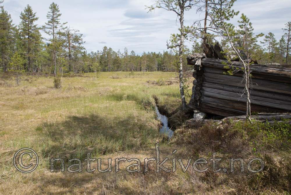 SIG_3991