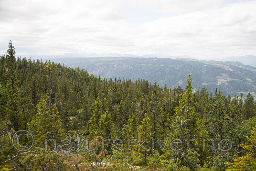 SIG_4492