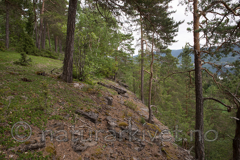 SIG_6945