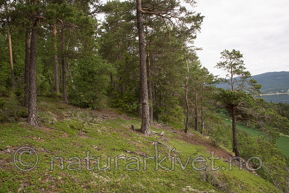 SIG_6948