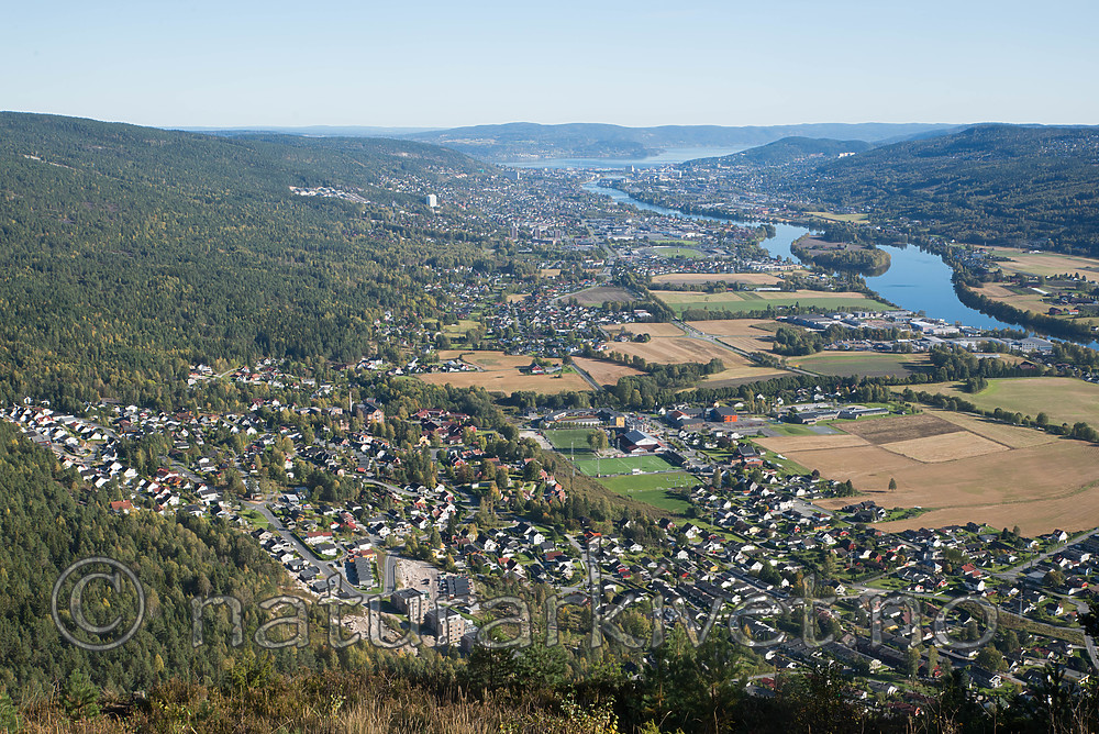 SIG_8008