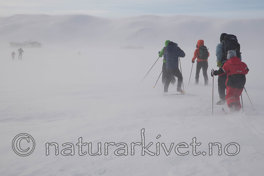 SIG_8544