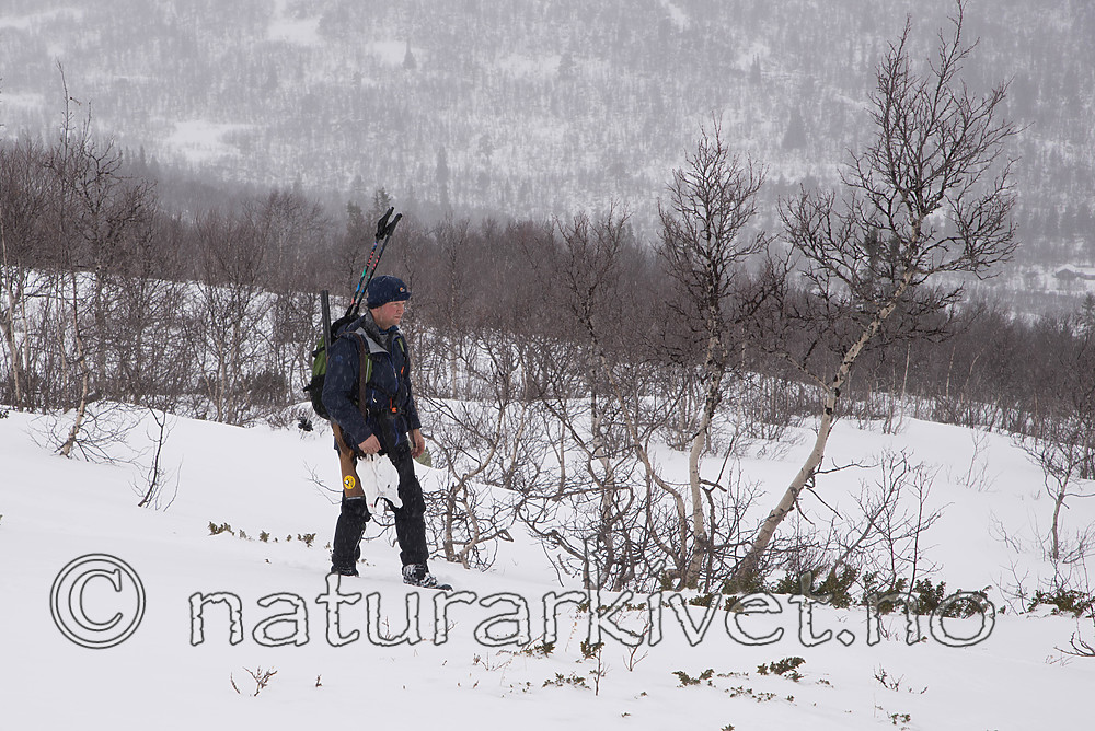 SIG_8570