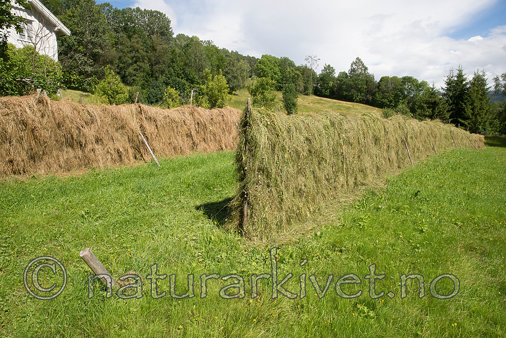 SIG_9379
