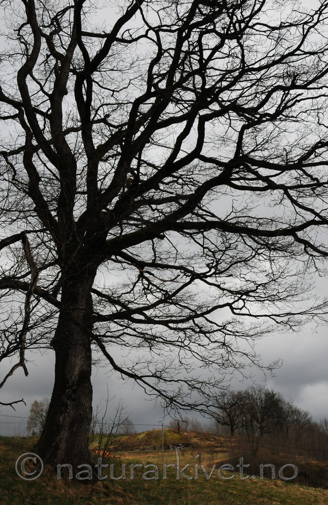 SR0_2458