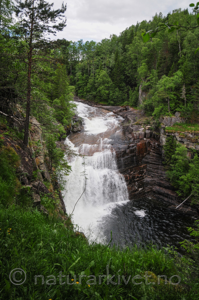SR0_3974