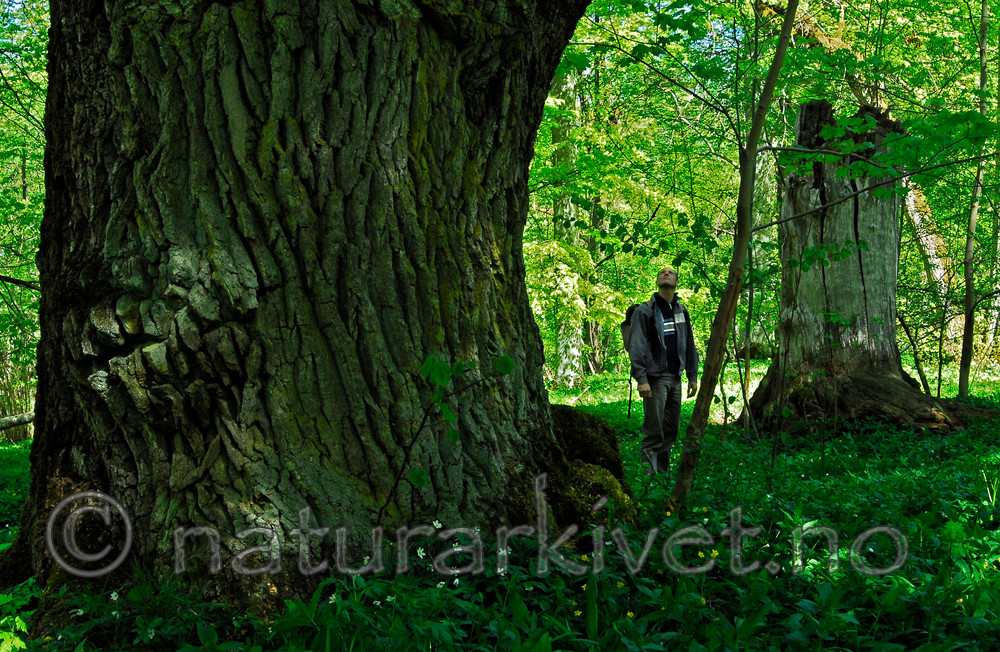 _SIG0066_2