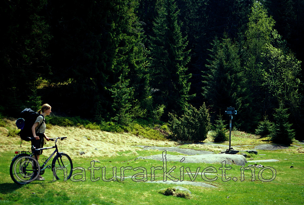 scansig_2012_10