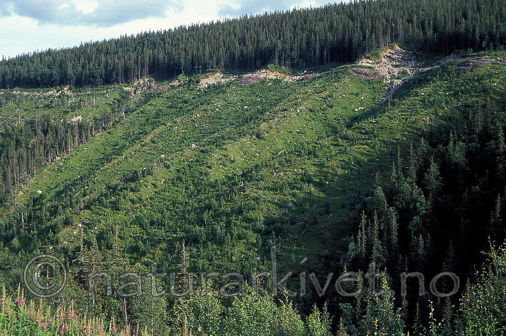 scansig_2012_11